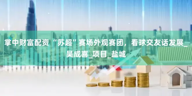 掌中财富配资 “苏超”赛场外观赛团，看球交友话发展_吴成喜_项目_盐城